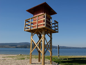 plataforma